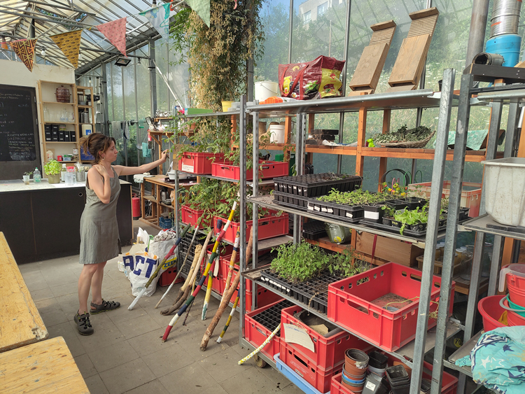 La petite cafétaria dans la serre, où Chloé nous montre des plantations
crédit : Centre Avec